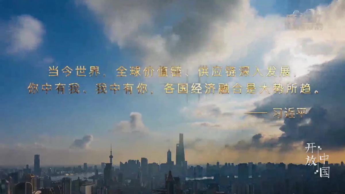 总书记点评你中有我我中有你.jpg